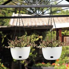 two hanging planters with flowers in them