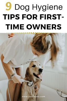 a woman brushing her dog's teeth in the bathtub with text overlay that reads, 9 dog hygiene tips for first - time owners