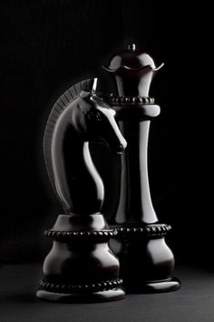 a black and white photo of two chess pieces in the shape of a horse, on a dark background