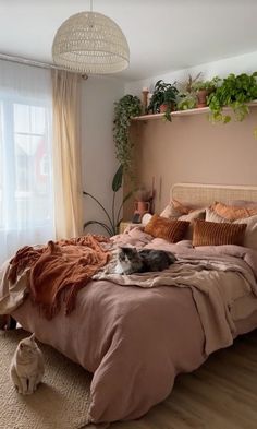 a cat laying on top of a bed next to a window with curtains and potted plants