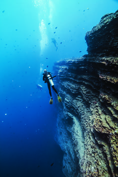 a person scubas in the water near a coral reef