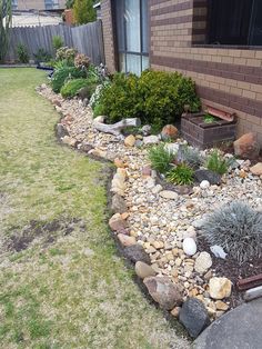 a garden with rocks and plants in front of a house