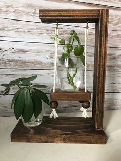 a plant in a glass vase sitting on top of a wooden stand