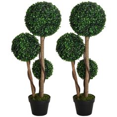 three potted trees are shown in the shape of balls