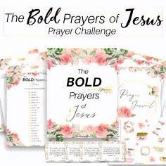 the bold prayer book with pink flowers and gold lettering on it, in front of a white