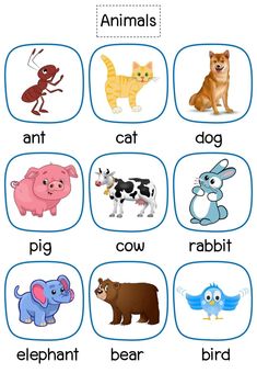 English For Kids, Animal Flashcards, Preschool Activities Toddler