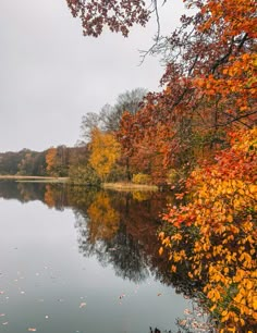 a lake surrounded by lots of trees in the fall