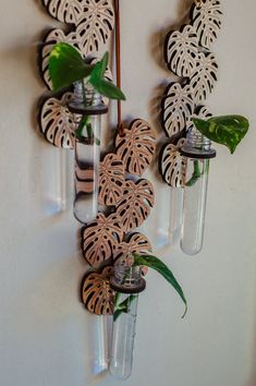 three vases with plants in them hanging on a wall