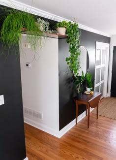 a living room with black walls and wooden flooring, plants on the shelf in front of the door