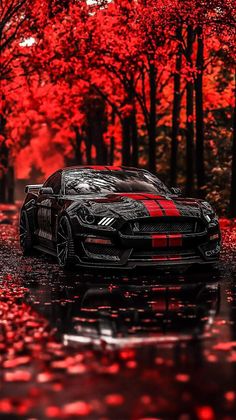 a black sports car parked in the middle of a forest with red leaves on it