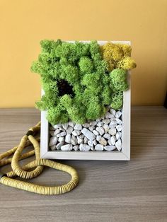 a planter with rocks and plants in it