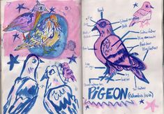 an open book with drawings of birds and stars on it's pages, including the title page