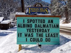 a sign in the snow that says i spotted an albino dalmatian yesterday it was the last i could do