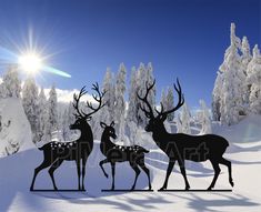 three deers are standing in the snow with trees and sun shining behind them on a sunny day