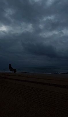 a person riding a horse on the beach at night with dark clouds in the background