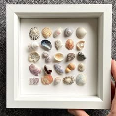 a person holding up a frame with sea shells in it