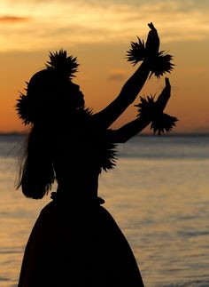 the silhouette of a woman with flowers in her hand at sunset on the water's edge