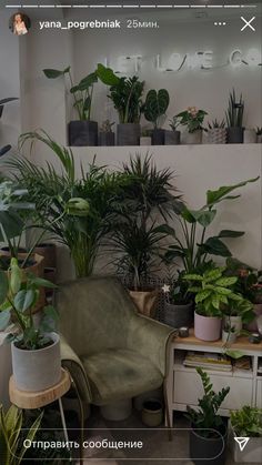 a room filled with lots of potted plants