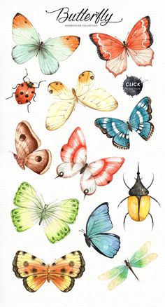 watercolor butterflies with the words butterfly on them