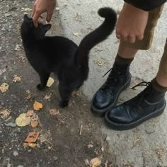 a black cat standing on top of a sidewalk next to a person wearing black shoes