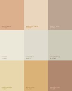 the different shades of paint that are used for walls and ceilinging in various rooms