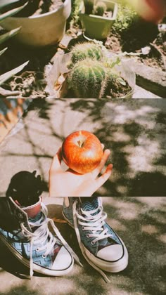 a person holding an apple in their hand on the ground next to potted plants