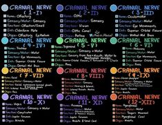 a poster with the names and numbers of different types of neurons on it