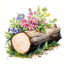 watercolor painting of flowers and logs