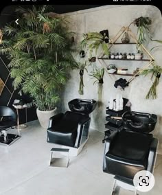 a salon with black chairs and potted plants