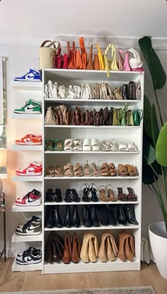 a white shelf filled with lots of shoes