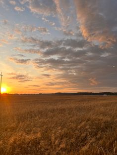 the sun is setting over an open field with tall grass and telephone poles in the foreground