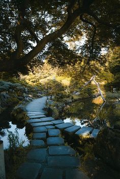 a stone path in the middle of a forest