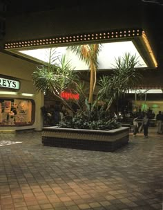 a palm tree in the middle of a shopping mall