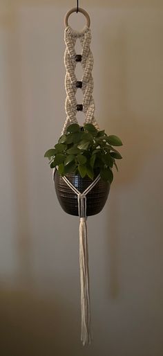 a potted plant hanging from a hook on a wall