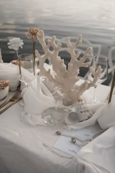 an arrangement of corals and seashells on a white table cloth with wine glasses