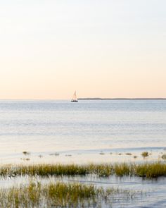 a boat is out on the water near some grass and plants in the foreground