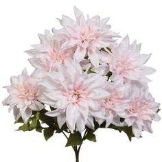 pink and white flowers in a vase on a white background with clipping for text