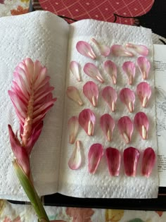 an open book with pink flowers on top of it and a flower in the middle