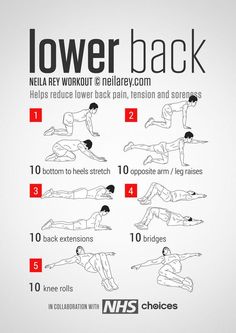 the lower back workout poster shows how to do it