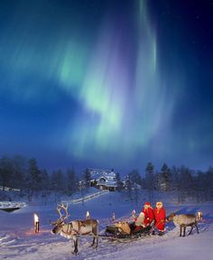 two reindeers pulling sleigh with people in the snow under an aurora bore