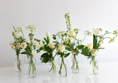 four clear vases filled with white and green flowers