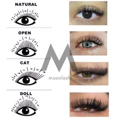 Type Of Lashes Extension, Lash Mapping For Almond Eyes, Types Of Lash Extension Styles Chart, Eyelash Maps, Angel Set Lash Map, Lashe Map Clusters, Lashes Map