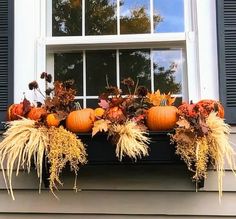 a window sill decorated with pumpkins and gourds