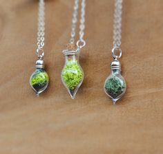 Moss Forest, Moss Jewelry, Moss Necklace, Plant Necklace, Miniature Terrarium, Plant Jewelry, Terrarium Necklace, Lovers Necklace, Nature Necklace