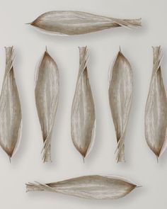 four different types of leaves on a white surface