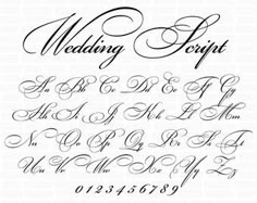 the font and numbers used to make this wedding day calligraphy is shown in black ink