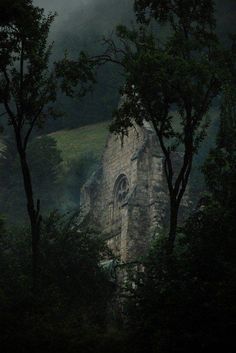 an old stone church surrounded by trees in the foggy forest at night with dark clouds overhead