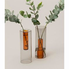 two vases with plants in them sitting next to each other