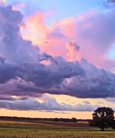 a lone tree stands in the middle of a field under a colorful sky with clouds