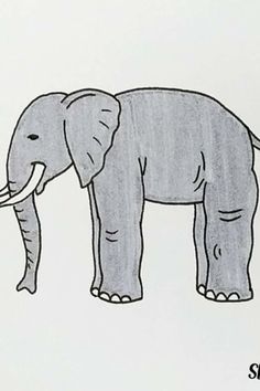 an elephant drawn in black and white on paper